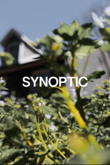 Synoptic Trailer
