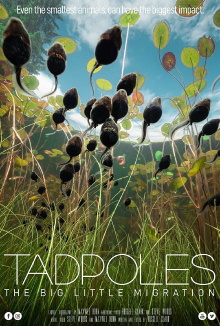 Tadpoles: The Big Little Migration Trailer
