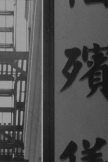 Take A Walk Trailer