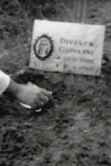 Taking place Trailer