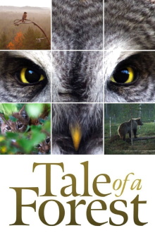 Tale of a Forest Trailer