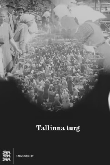 Tallinn Market Trailer