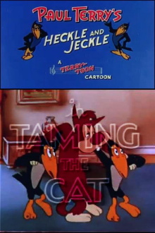 Taming the Cat Trailer
