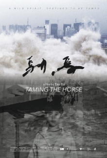 Taming the Horse Trailer