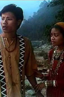 Tanyabi's Lake Trailer