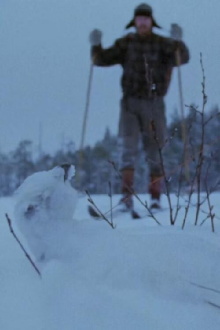 Tapiola Trailer