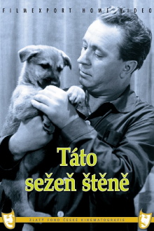 Táto sežeň štěně Trailer