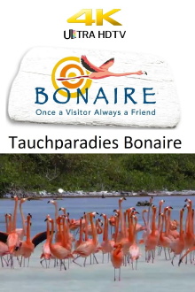 Tauchparadies Bonaire Trailer