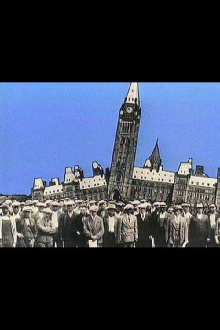 Tax: The Outcome of Income Trailer