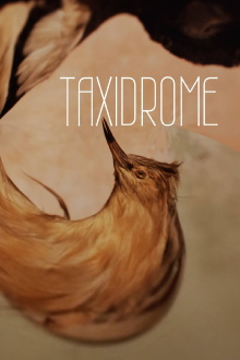 Taxidrome Trailer