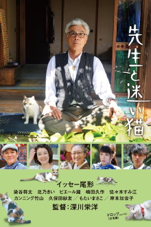 Teacher and Stray Cat Trailer