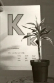 Teaching a Plant the Alphabet Trailer