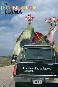 Technicolor Llama Trailer
