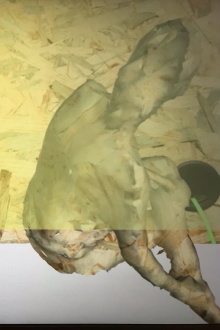 Technologies Of Care Trailer