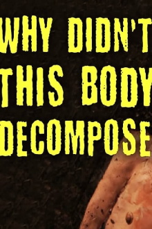 TED-Ed: Why Didn't This Body Decompose? Trailer