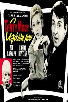 Teddy Boy My Love Trailer