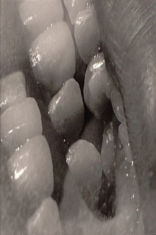 Teeth Tongue Trailer