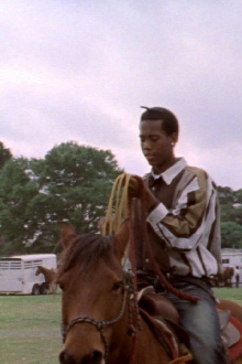 Ten Five in the Grass Trailer