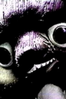 Ten Thousand Things Trailer