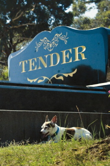 Tender Trailer