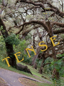 Tense Trailer