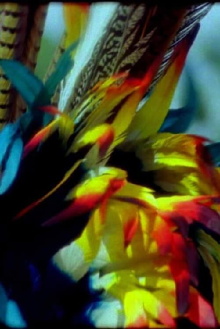 Teponaztli Trailer