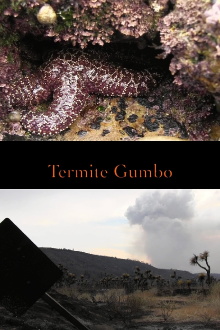 Termite Gumbo Trailer