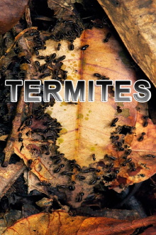 Termites: The Inner Sanctum Trailer