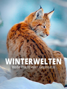 Terra X - Wilde Winterwelten Trailer