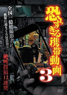 Terrifying Mobile Videos - 13 Consecutive Screaming Submissions 3 Trailer