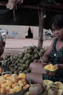 Território Pequi Trailer