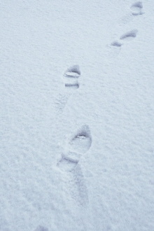 Terza passeggiata - Sulla neve Trailer
