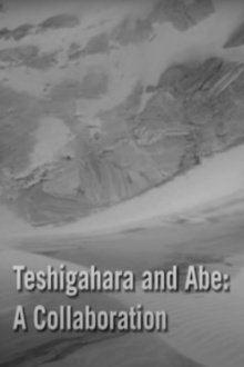 Teshigahara and Abe Trailer