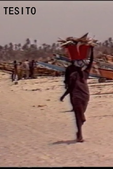 Tesito Trailer