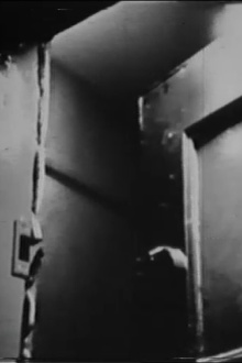 Text Door Trailer