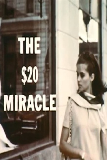 The $20 Miracle Trailer