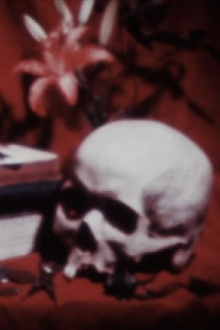 The Absence Of Filmmaker Trailer
