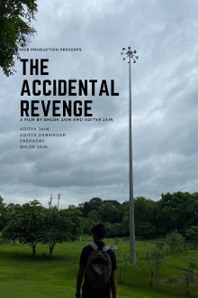 The Accidental Revenge Trailer