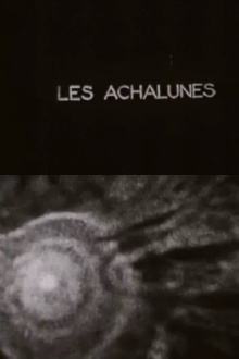 The Achalunés Trailer