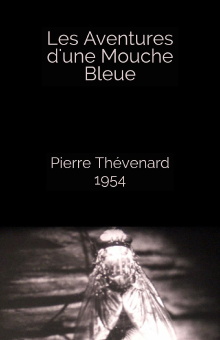 The Adventures of a Blue Fly Trailer