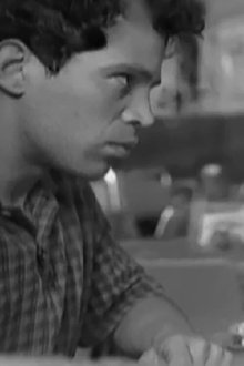 The Afternoon Has Eyes Trailer