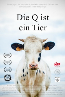 The All Is One Trailer