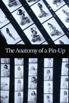 The Anatomy of a Pin-Up Trailer