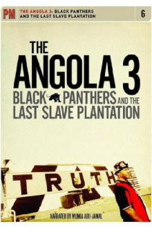 The Angola 3: Black Panthers and the Last Slave Plantation Trailer