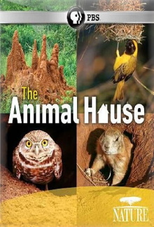 The Animal House Trailer