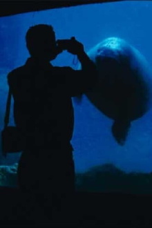 The Aquarium Trailer
