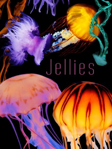 The Art of Nature: Jellies Trailer