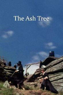 The Ash Tree Trailer