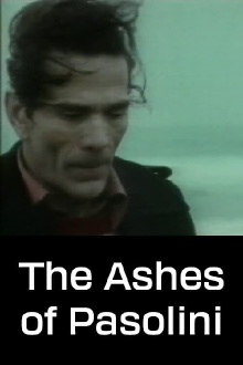 The Ashes of Pasolini Trailer