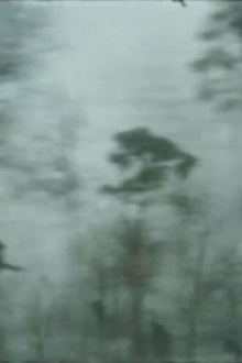 The Autobahn Poet Trailer